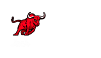 Jack Bull Zgz